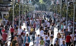 Türkiye'de Hane Halkı Büyüklüğü Azalıyor
