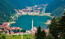 Trabzon Uzungöl'de Bungalov Evlerin Kirası Cep Yakıyor