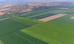 DSİ'den Satılık Tarım Arazileri