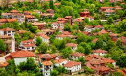 Karabük Safranbolu'da İcradan Satılık Tarla