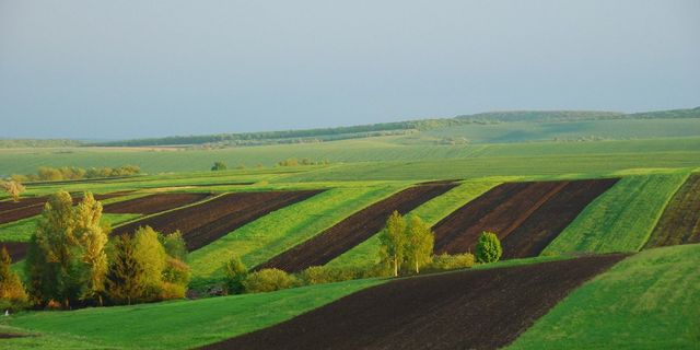 TOKİ Ucuz Arsa Kuraları Yeniden Başladı