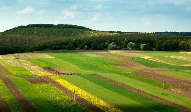 32 İlde 385 Arsa Satışa Çıktı