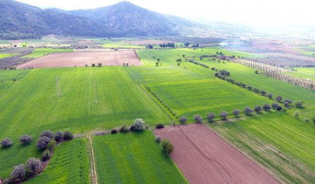 İmarlı Arsaya Yatırım Yapan Kazanıyor