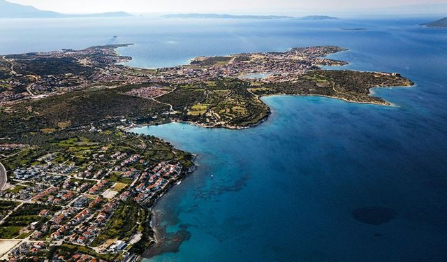 İzmir Çeşme'de İcradan Satılık Zeytin Ağaçlı Tarla