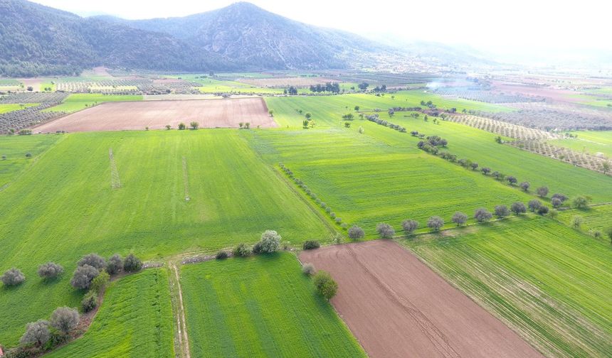 Arsa Yatırımı Neden Öne Çıkıyor?